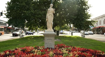 Default Image