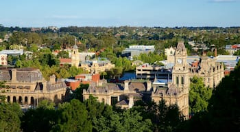 Bendigo montrant ville
