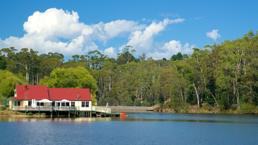 Daylesford bevat een huis en een meer of poel
