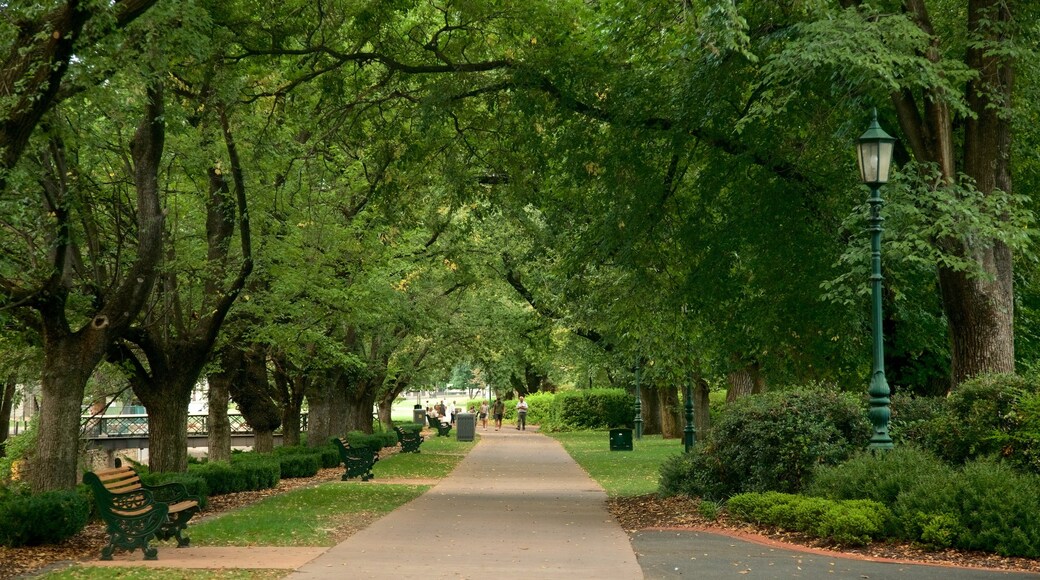 Rosalind Park showing a garden