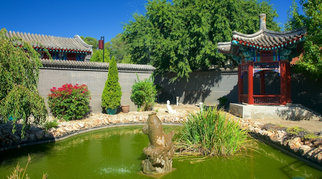 Golden Dragon Museum showing a garden