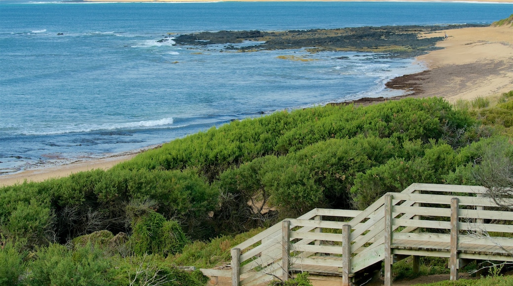 Phillip Island which includes a sandy beach