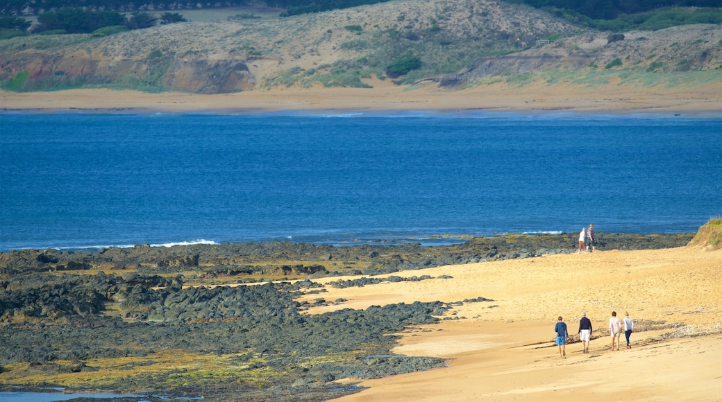 Phillip Island som viser en strand såvel som en lille gruppe mennesker