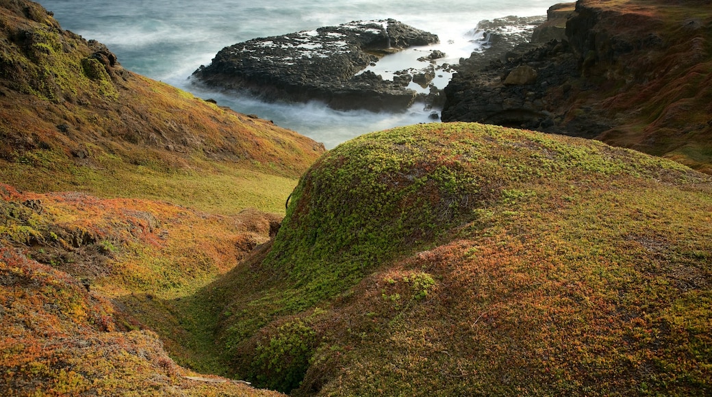 Phillip Island showing rugged coastline