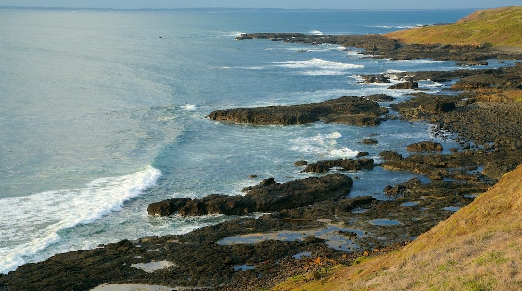 Phillip Island featuring rocky coastline