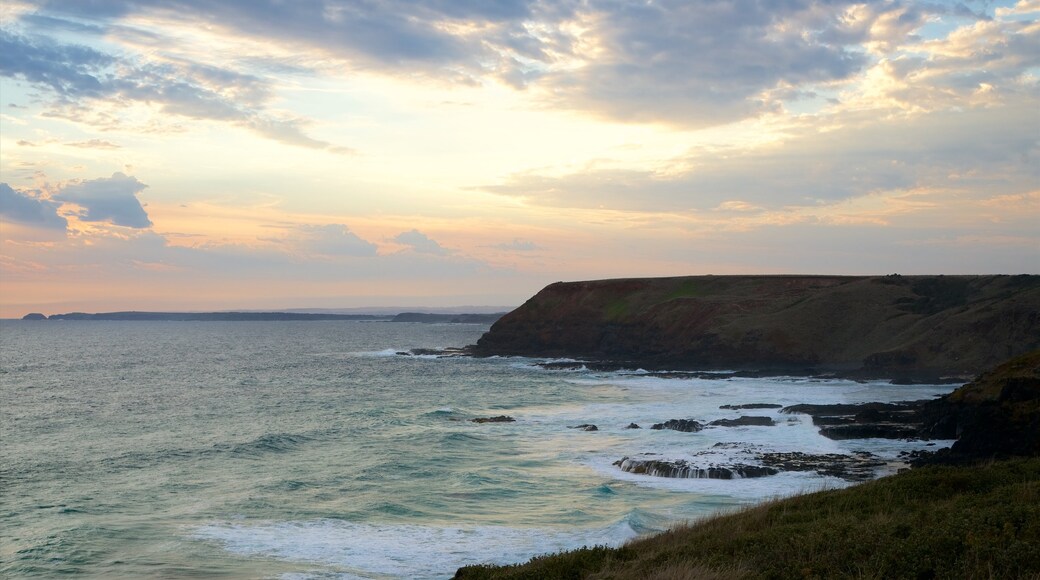 Phillip Island featuring rugged coastline