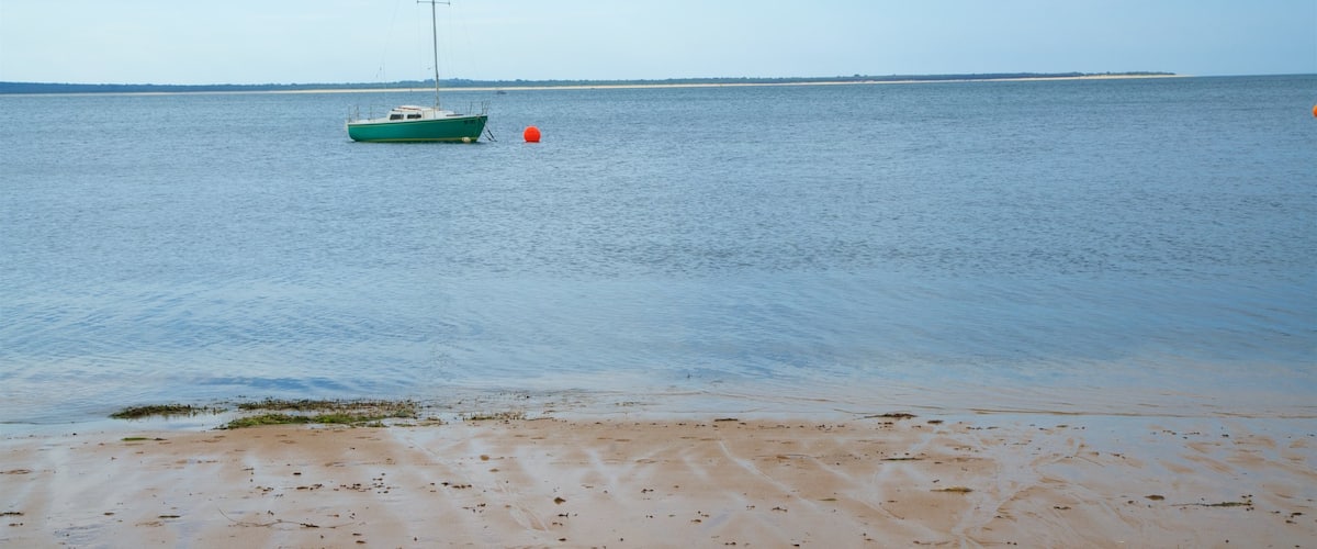 Cowes mostrando una playa de arena y paseos en lancha