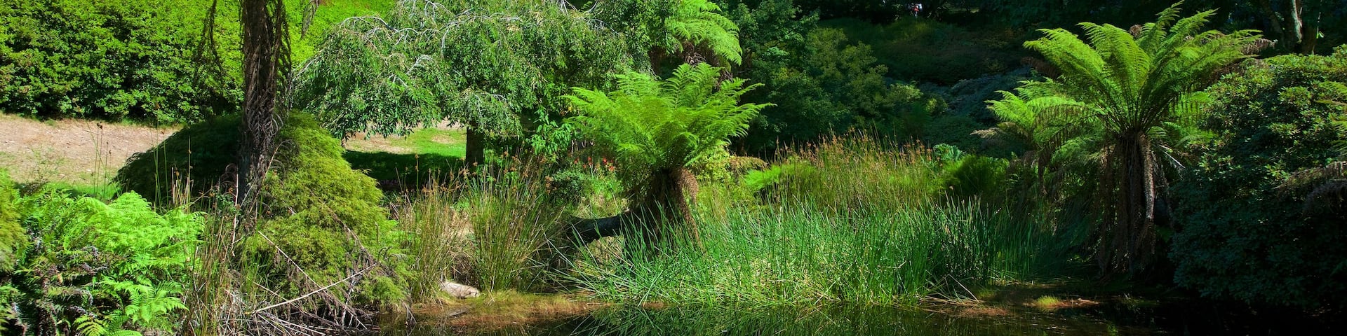 National Rhododendron Gardens featuring a garden