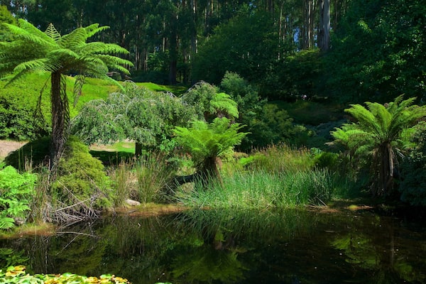 National Rhododendron Gardens das einen Park