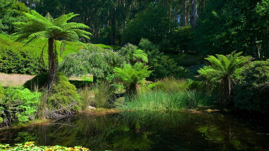National Rhododendron Gardens inclusief een tuin