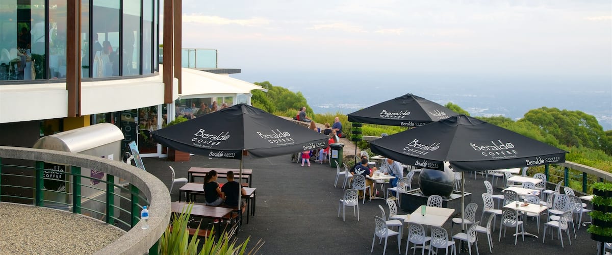 SkyHigh Mount Dandenong showing outdoor eating and cafe lifestyle