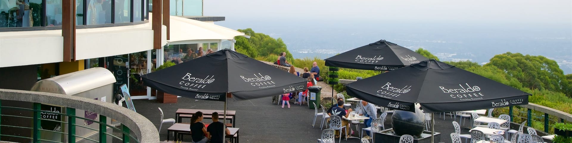 SkyHigh Mount Dandenong showing outdoor eating and cafe lifestyle