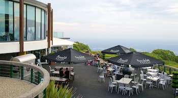 SkyHigh Mount Dandenong mit einem Café-Szenerien und Essen im Freien