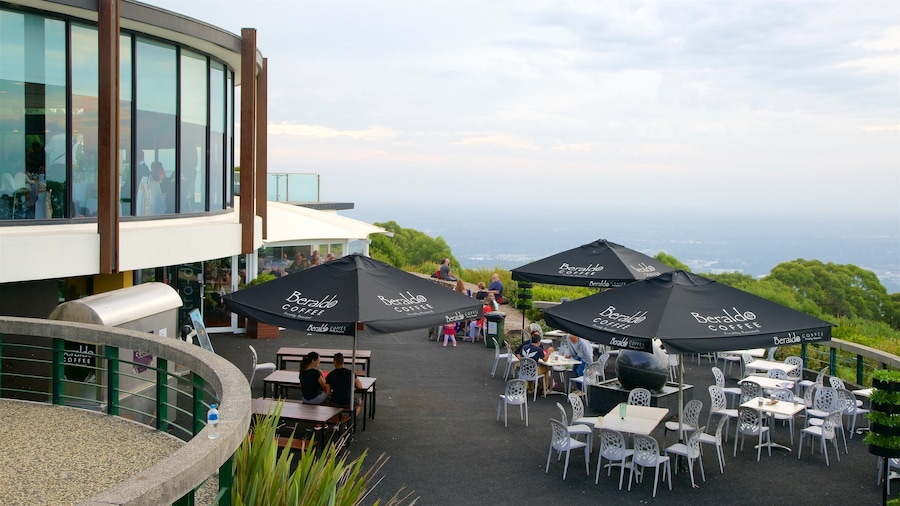 SkyHigh Mount Dandenong ofreciendo ambiente de cafetería y comidas al aire libre