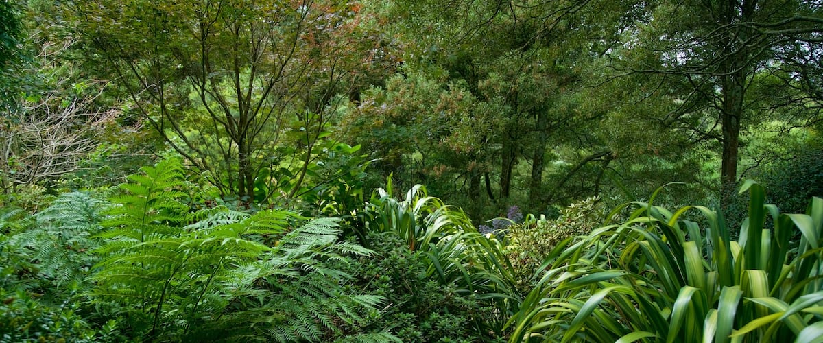 SkyHigh Mount Dandenong