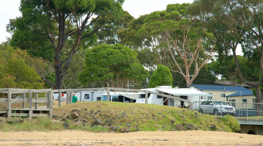 Cowes which includes camping