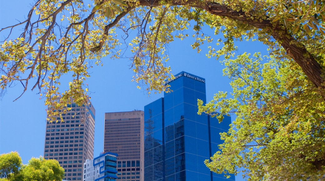 Birrarung Marr Park featuring a skyscraper, a city and a park