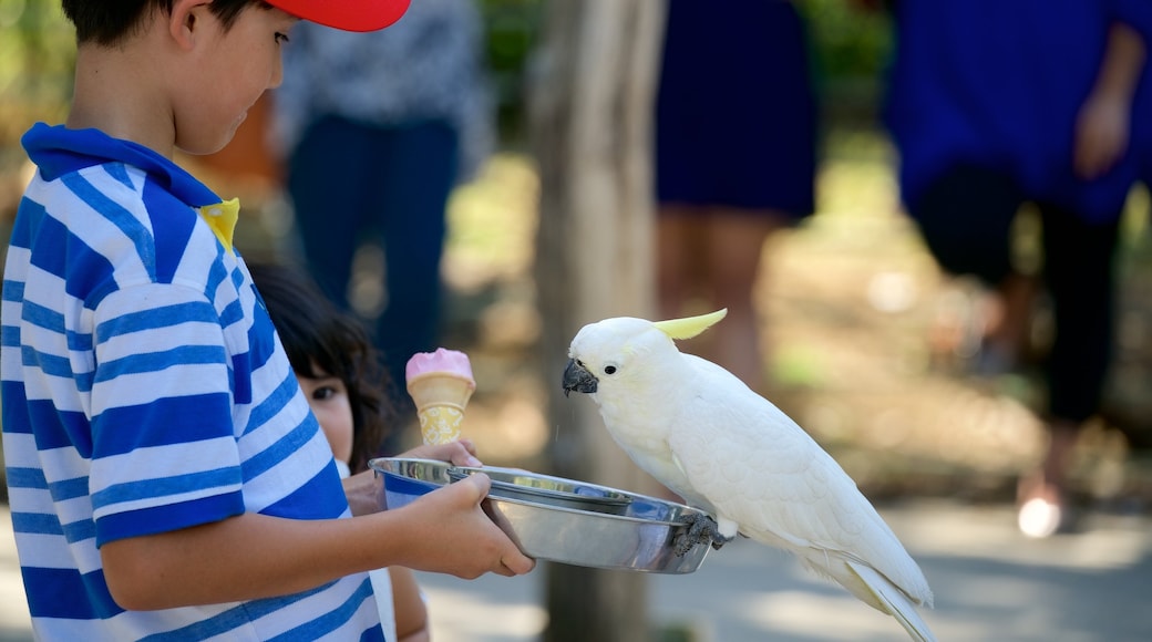 Grants Picnic Area showing bird life as well as an individual child