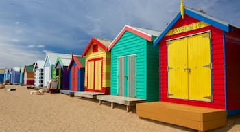 Brighton featuring a house and a beach