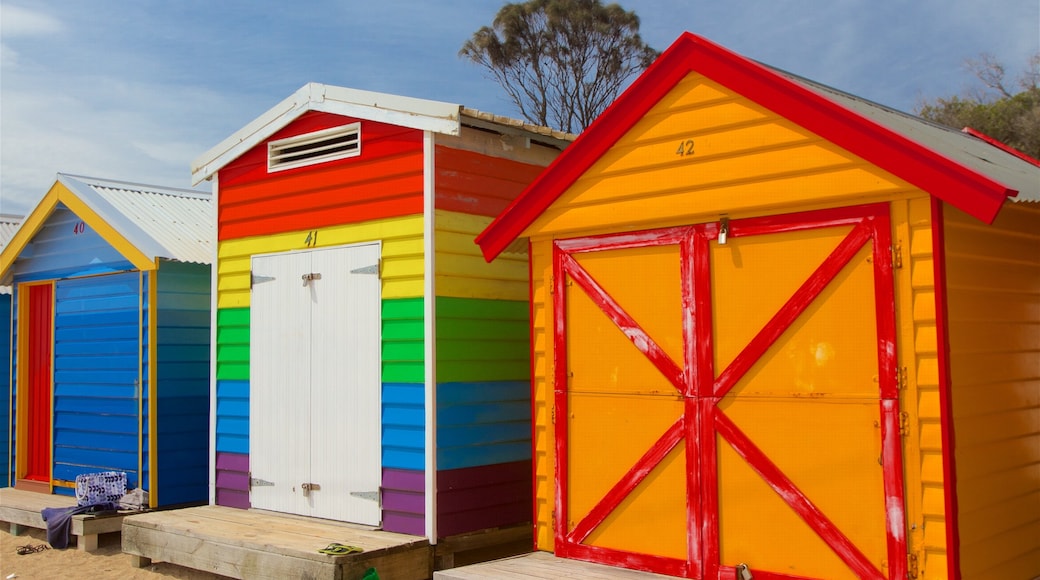 Brighton welches beinhaltet Strand und Haus