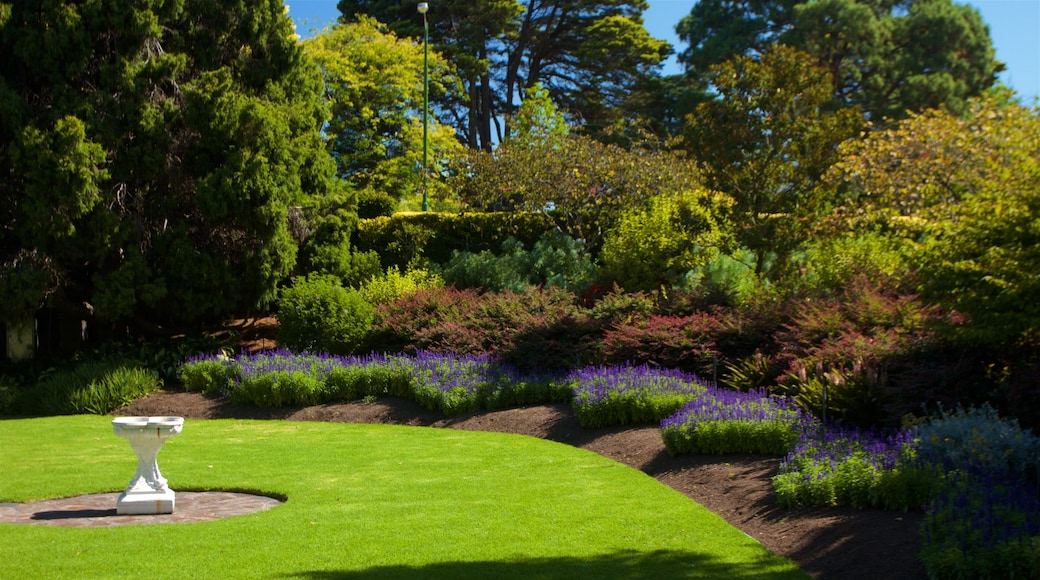 Royal Botanic Gardens das einen Garten