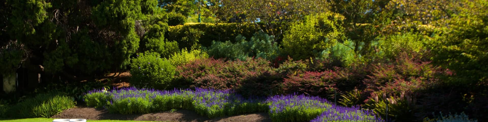 王立植物園 どの含み 公園