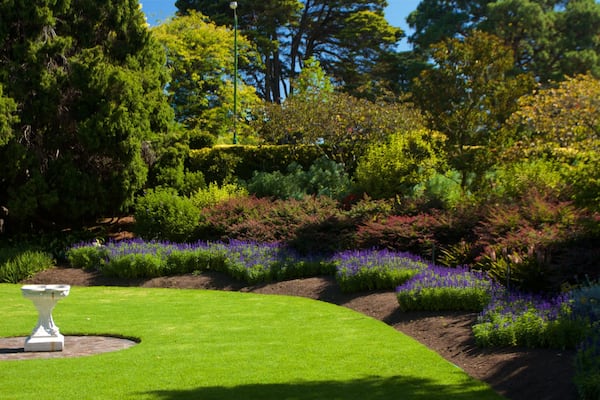 Royal Botanic Gardens mettant en vedette parc