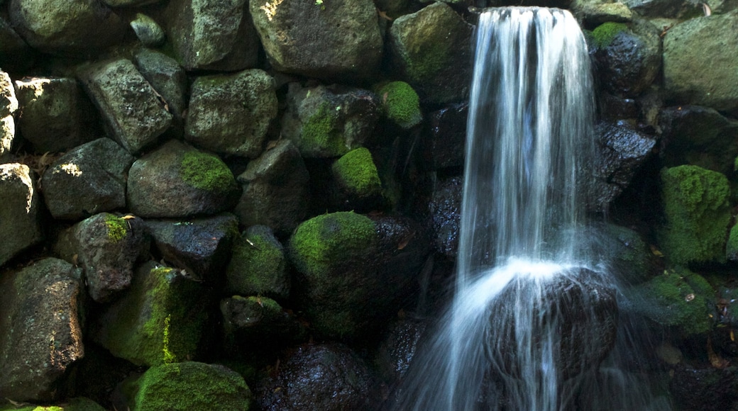 Royal Botanic Gardens featuring a waterfall and a park