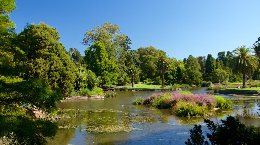 Royal Botanic Gardens which includes a lake or waterhole and a garden