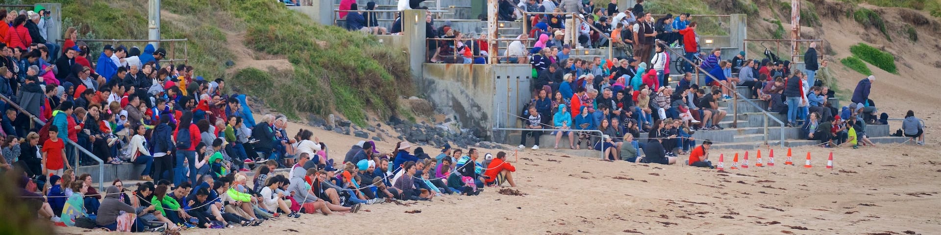 Penguin Parade which includes a sandy beach as well as a large group of people