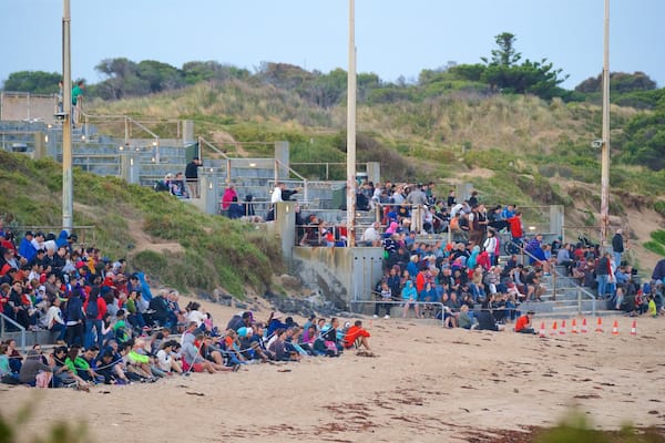 Penguin Parade which includes a sandy beach as well as a large group of people