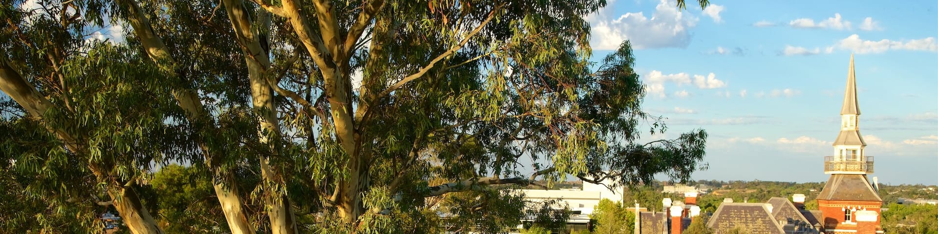 Murray Valley showing a small town or village