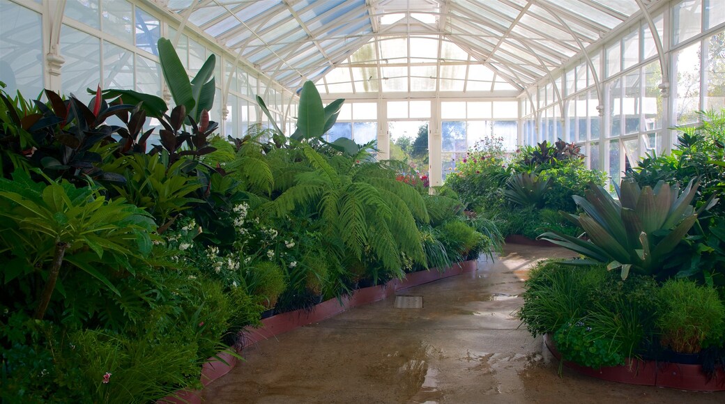 Rosalind Park bevat een tuin