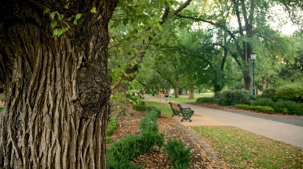 Rosalind Park toont een tuin