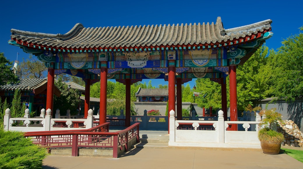 Golden Dragon Museum qui includes patrimoine historique