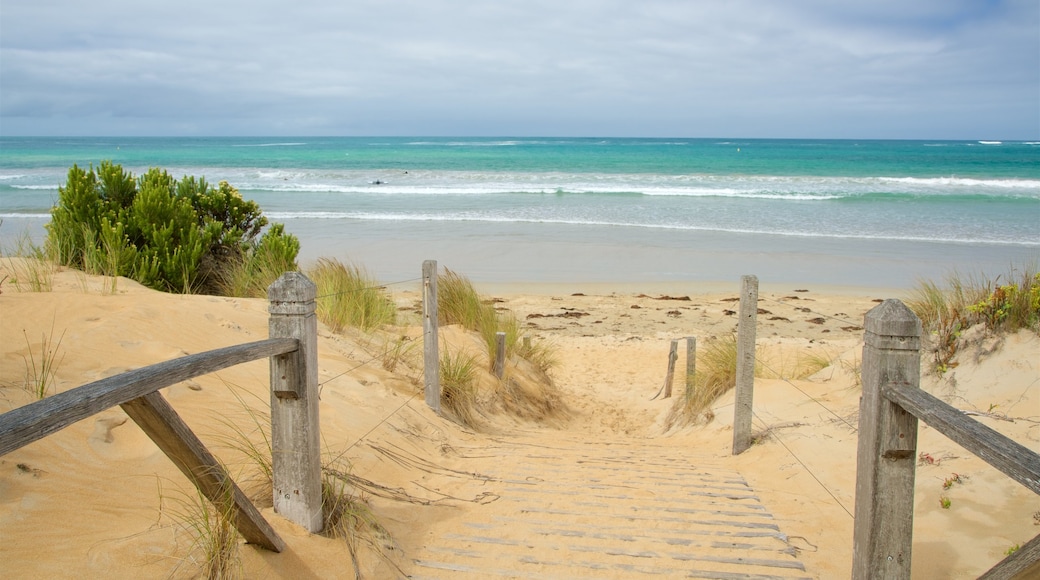 Warrnambool Beach mostrando una playa, olas y una bahía o puerto