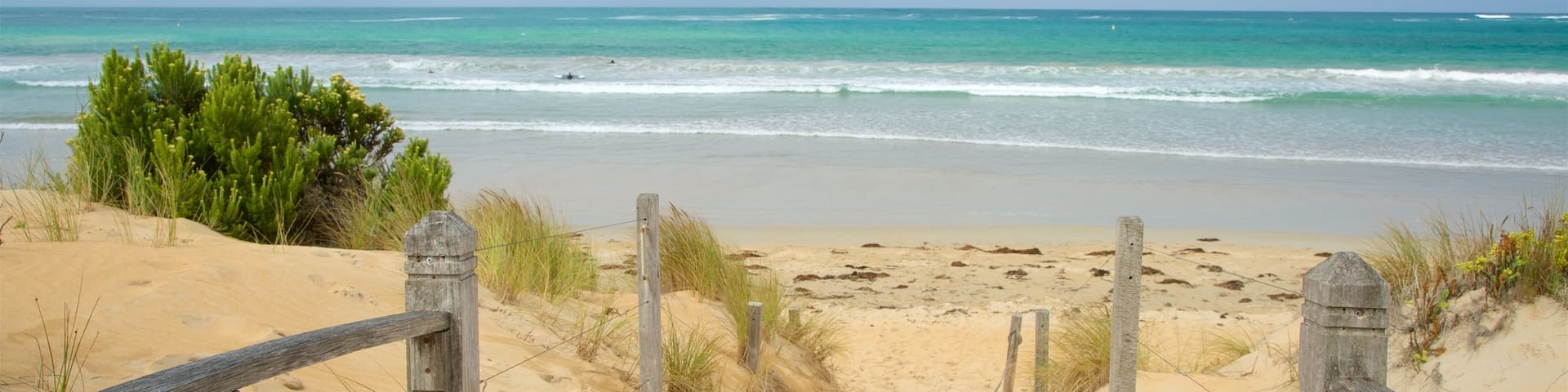 Warrnambool Beach which includes surf, a sandy beach and a bay or harbor