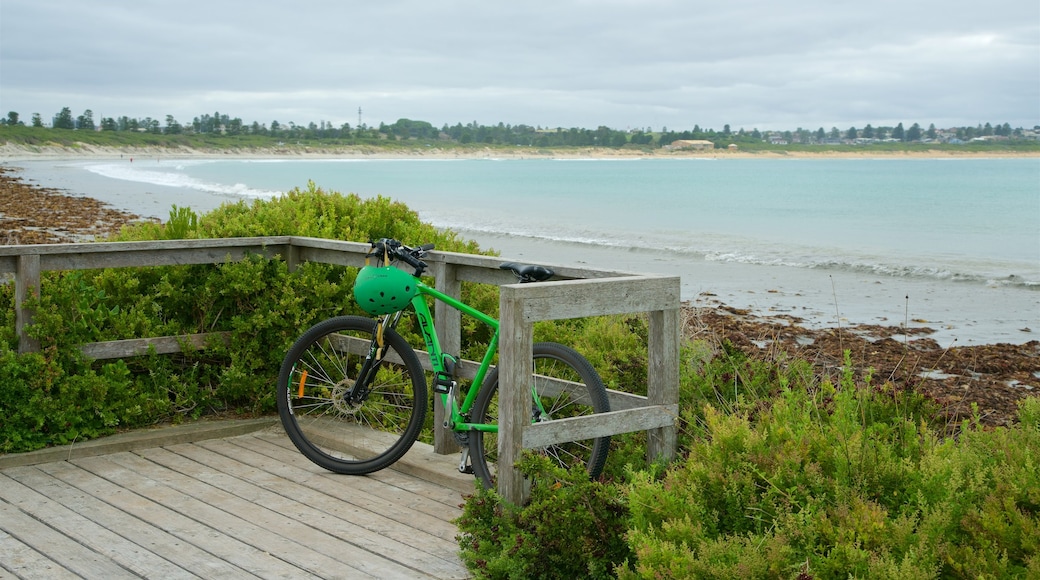 Warrnambool Beach featuring a bay or harbor, cycling and a sandy beach