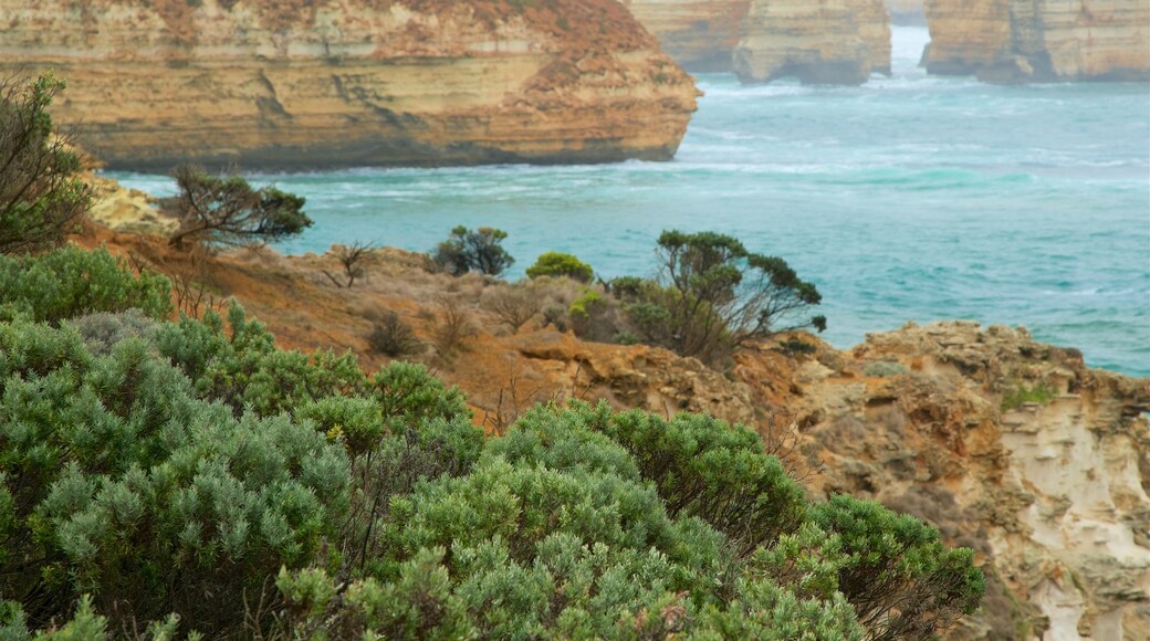 Bay of Islands Coastal Park mit einem schroffe Küste und Bucht oder Hafen