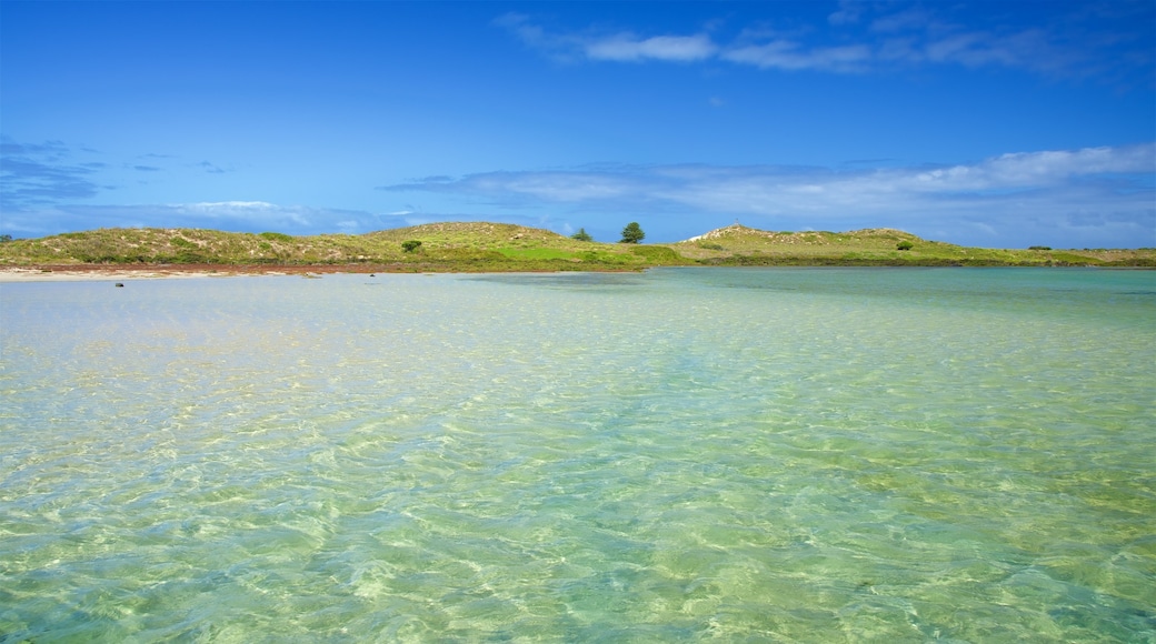 Faro di Griffiths Island che include baia e porto