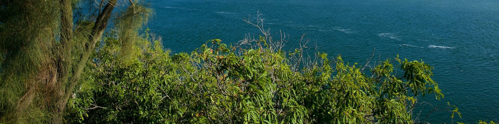 Lakes Entrance Lookout featuring a bay or harbor