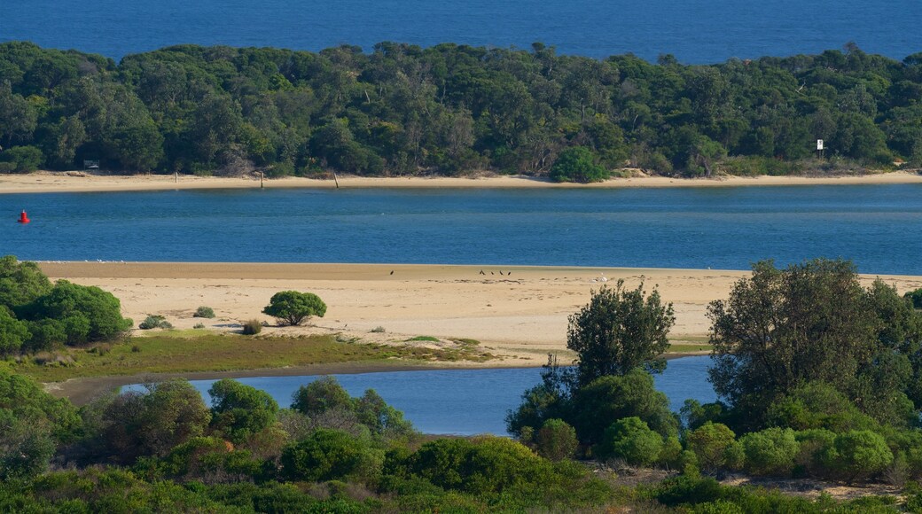 Lakes Entrance Lookout which includes a bay or harbor and a beach