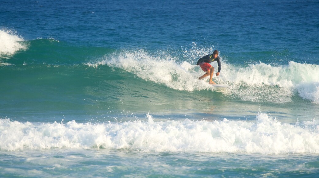 Gippsland featuring surfing and surf as well as an individual male