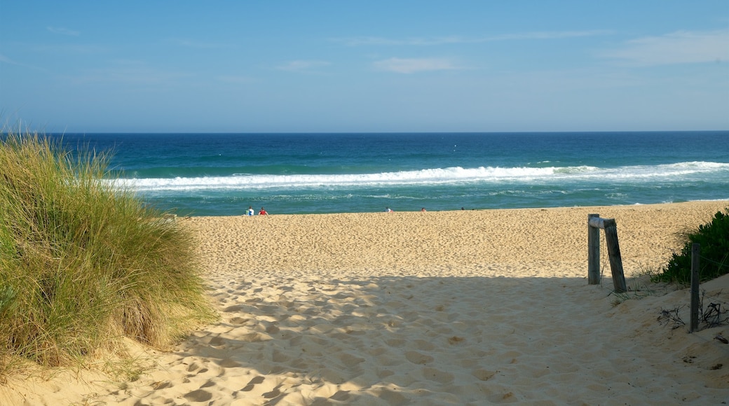 Gippsland inclusief golven, een strand en algemene kustgezichten