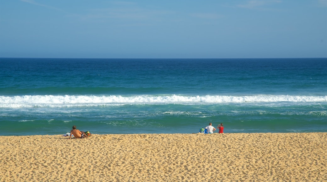 Gippsland showing a sandy beach, waves and a bay or harbour