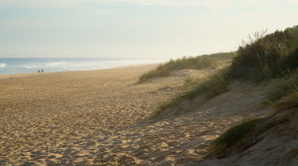 Gippsland bevat een zandstrand en algemene kustgezichten