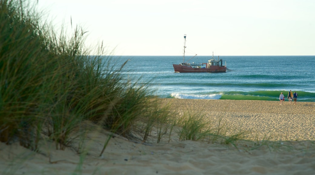 Gippsland showing general coastal views, waves and a sandy beach