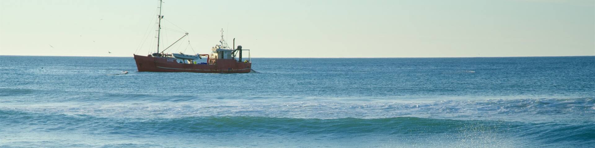 Gippsland which includes waves, boating and a bay or harbour