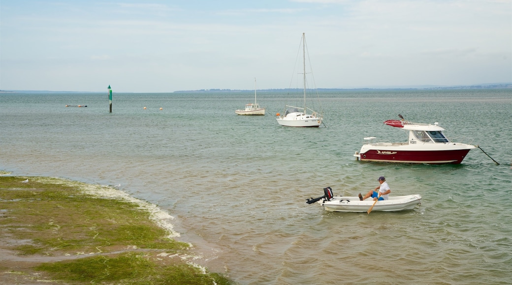 Cowes showing general coastal views and boating