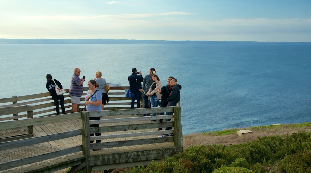 Phillip Island showing a bay or harbour and views as well as a small group of people